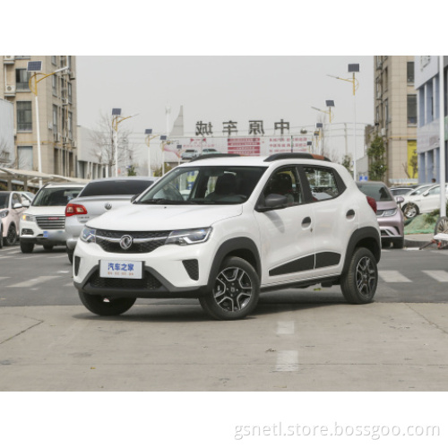 Camion di pickup auto Dongfeng con doppio veicolo per adulti per auto elettriche